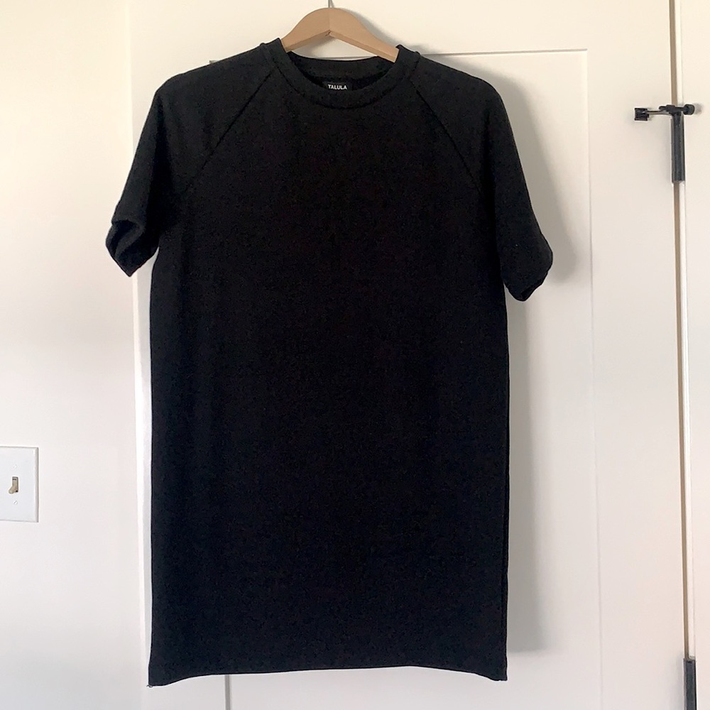 Aritzia Talula Crew Sweatshirt Dress